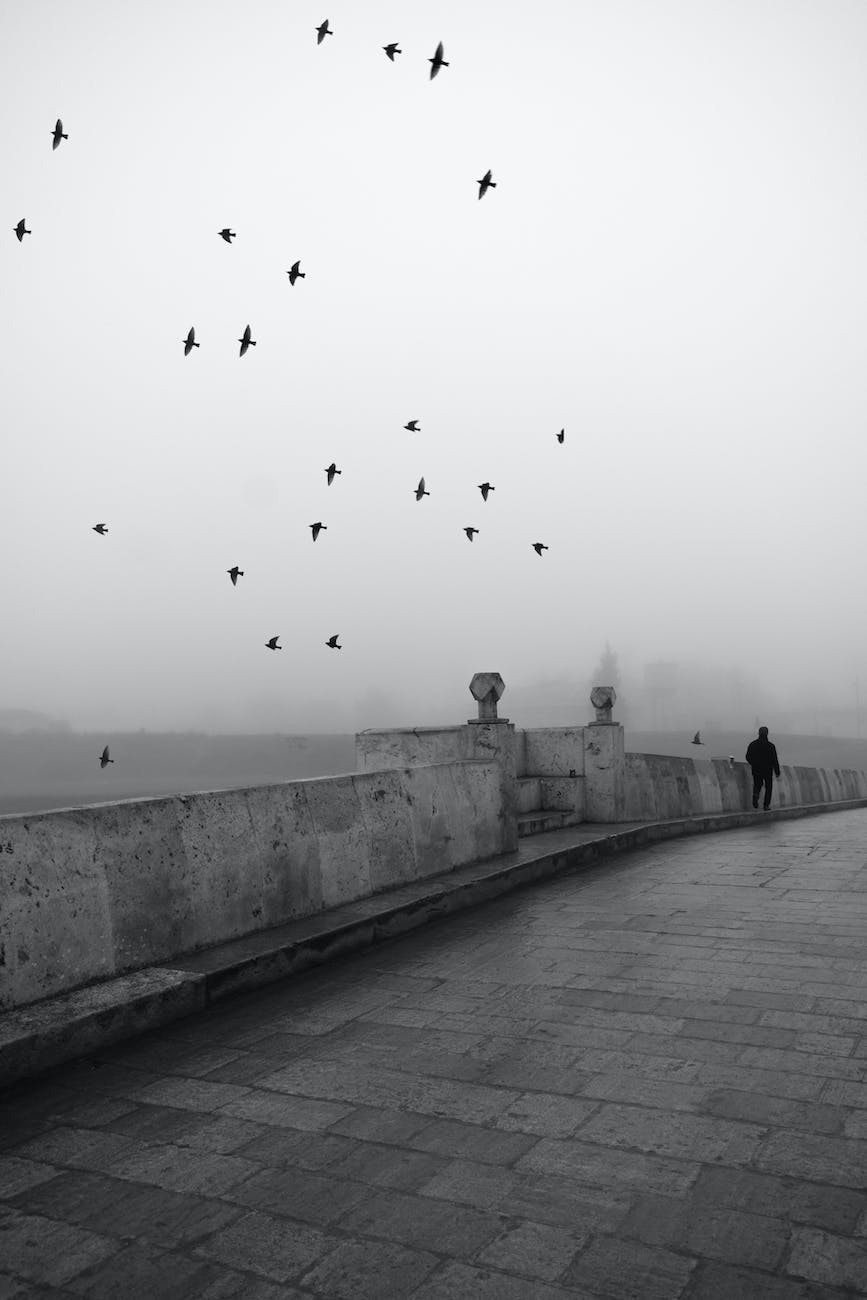 man on a stony bridge in the foggy morning - jan vrabec sparrow's English Reader - Level 3 English