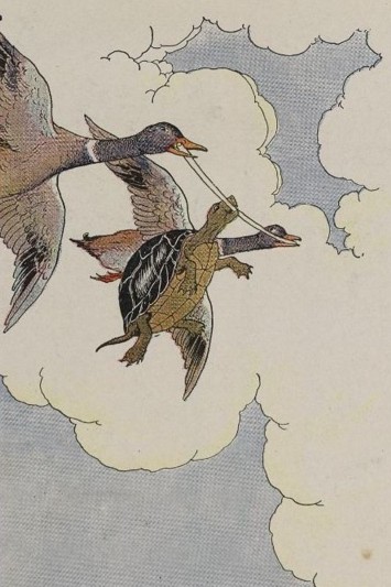 picture of ducks flying with tortoise; Sparrow's English Reader, English Reading Level 2; Aesop's Fables